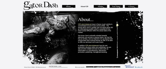 Site internet vitrine en flash, réalisation d'une pochette de CD promotionnel 5 titres, video clip